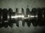 Yamaha OX66 225hp outboard crankshaft (61A-11411-00-00)
